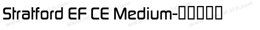 Stratford EF CE Medium字体转换